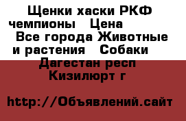 Щенки хаски РКФ чемпионы › Цена ­ 90 000 - Все города Животные и растения » Собаки   . Дагестан респ.,Кизилюрт г.